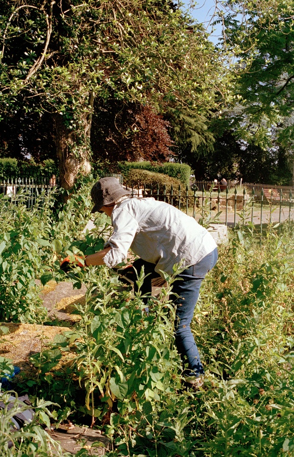 Gardening 9